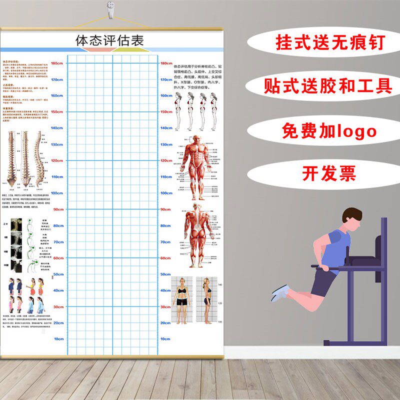 体态评估图健身房体测表瑜伽私教身E体形体测评脊椎修复墙壁画装