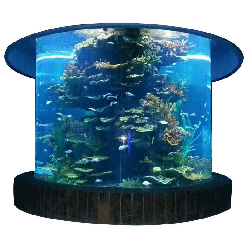 弧形圆柱鱼缸水族工程别墅海水缸客厅落地生态鱼缸大型海洋缸