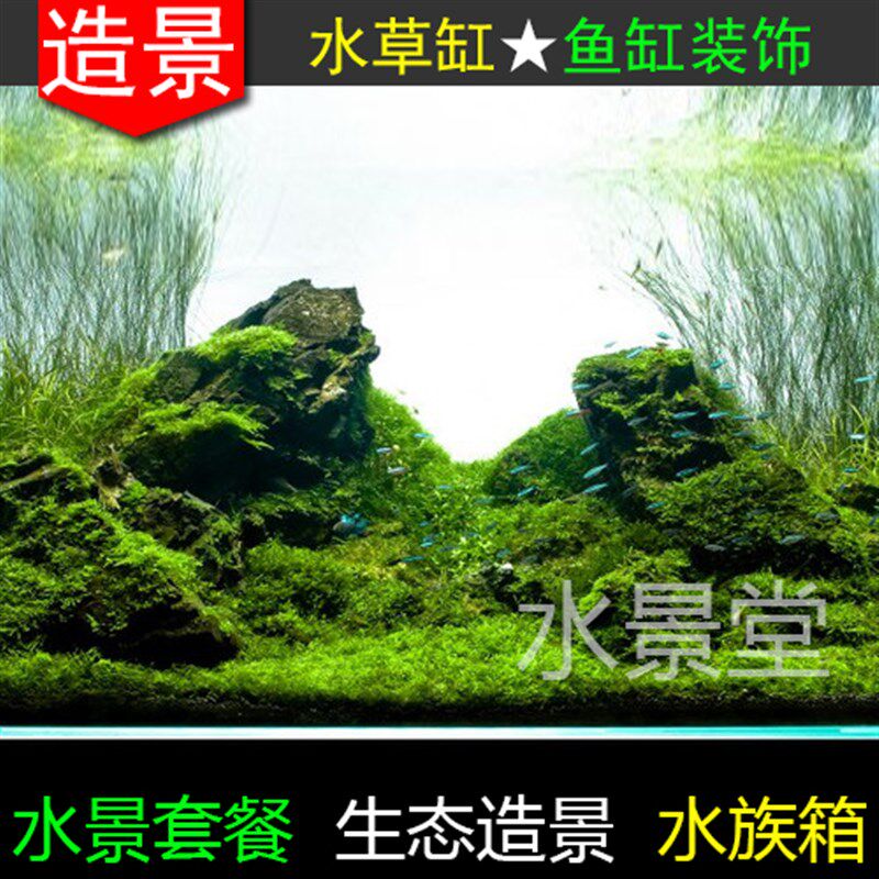 青龙石水草缸造景套餐 超白缸鱼缸B 鱼缸水泵 静音 鱼缸背景 鱼缸