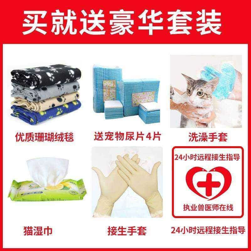 。宠物产房d猫咪生k产房怀孕猫产房产箱窝猫咪用品帐篷猫窝封闭式