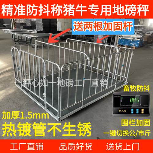 热镀围栏地磅秤金双鹰3吨