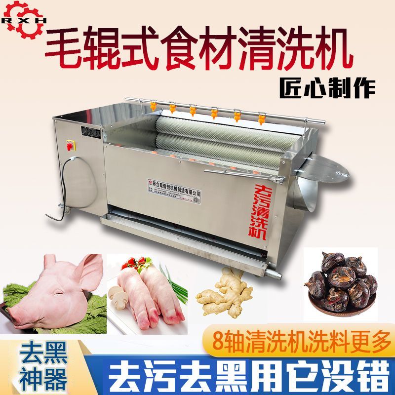 新型马蹄荸荠清洗机生蚝