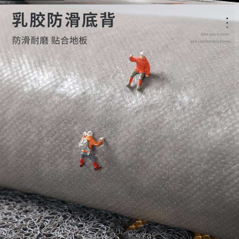 门外地垫入户门蹭土门垫2024新款入门脚垫高档进门地毯高级感垫子
