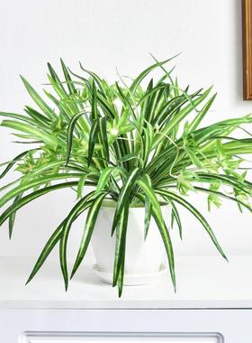 真植物绿假植金边吊盆82309仿垂吊吊篮装饰阳台栽室兰内塑料花草