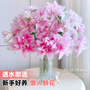 花期长好养的鲜花百合风铃鲜切花云南直发水培植物玫瑰花室内插花