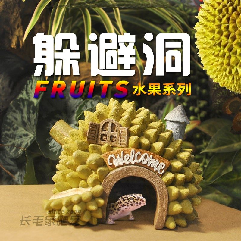 爬宠躲避屋守宫蜥蜴蛇洞穴爬虫造景乌龟仓鼠蜘蛛寄居蟹水果躲藏洞,宠物/宠物食品及用品,爬宠躲避/造景,淘宝优惠券,粉丝福利购,淘宝优惠卷