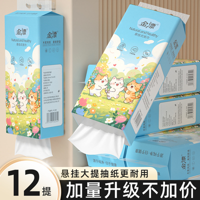 12提悬挂式抽纸纸巾整箱