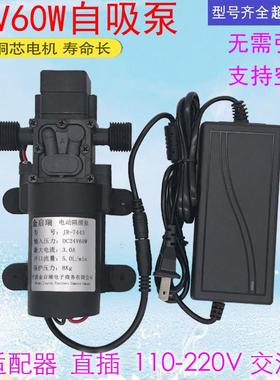 24V微型增压泵小型220V60W自吸抽水高压水泵家用净水机直流抽水机