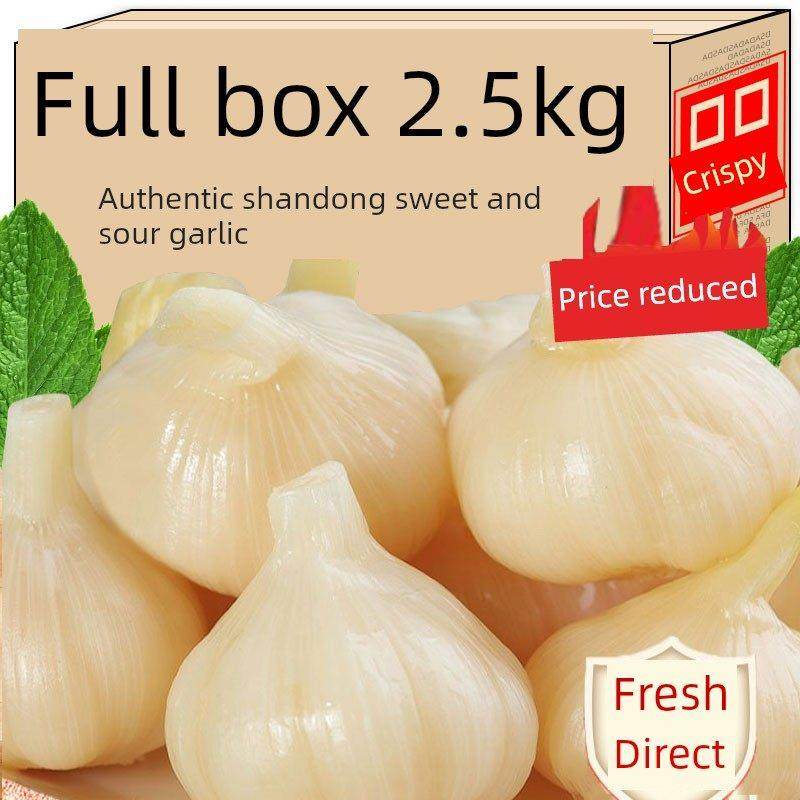 采购产品糖蒜，正宗酸甜蒜，酸甜蒜，甜蒜，酸甜蒜，腊八蒜，泡菜,粮油调味/速食/干货/烘焙,酱类调料,淘宝优惠券,粉丝福利购,淘宝优惠卷