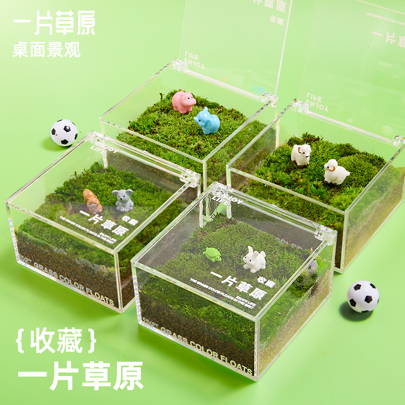一片草坪【送礼袋】苔藓微景观