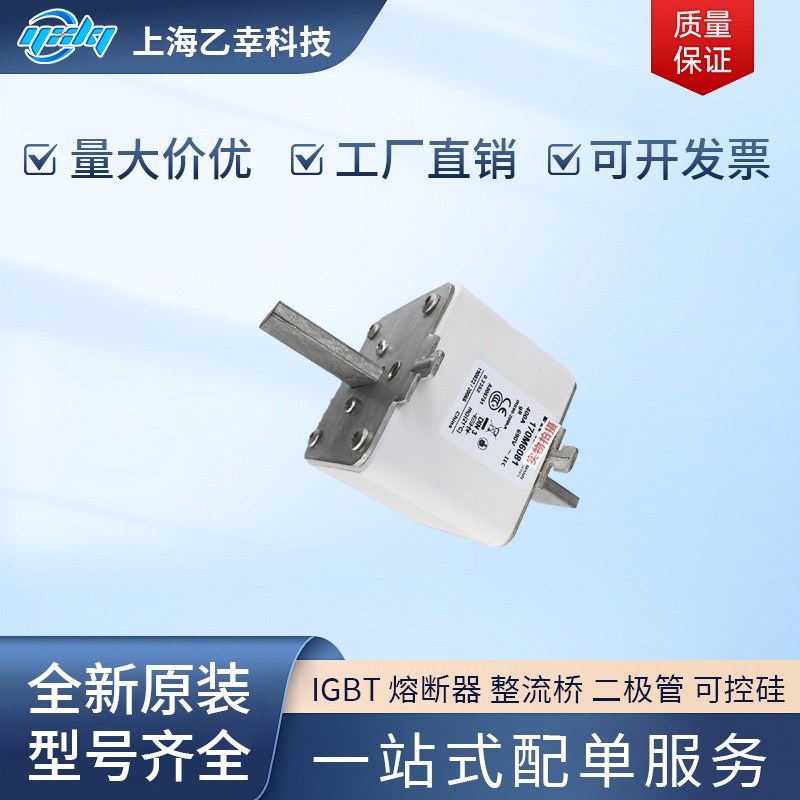 巴斯曼熔断器  170M6010 170M6011 170M6012 170M6013 170M6014