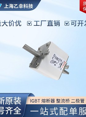 巴斯曼熔断器  170M6010 170M6011 170M6012 170M6013 170M6014