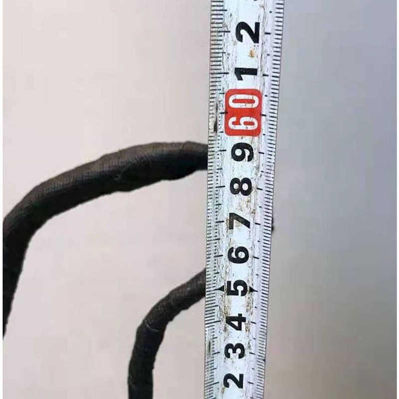 小叶紫檀树桩盆景树室内阳台盆栽客厅庭院绿植黑骨茶驱蚊耐寒树桩