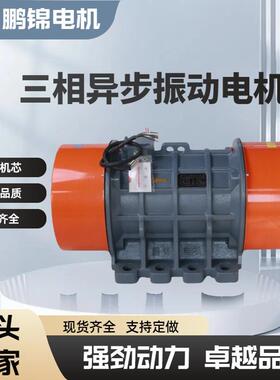 YZS振动电机PJMVYZDYZU厂家给料机矿山脱水筛铸造设备用YZS100