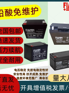 FIAMM非凡蓄电池FG10721 FG11201 FG20341 FGH20502 12FGH23 消防