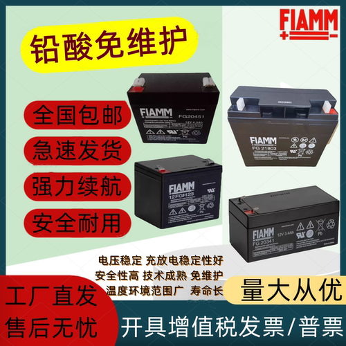FIAMM非凡铅酸免维护机房照明用