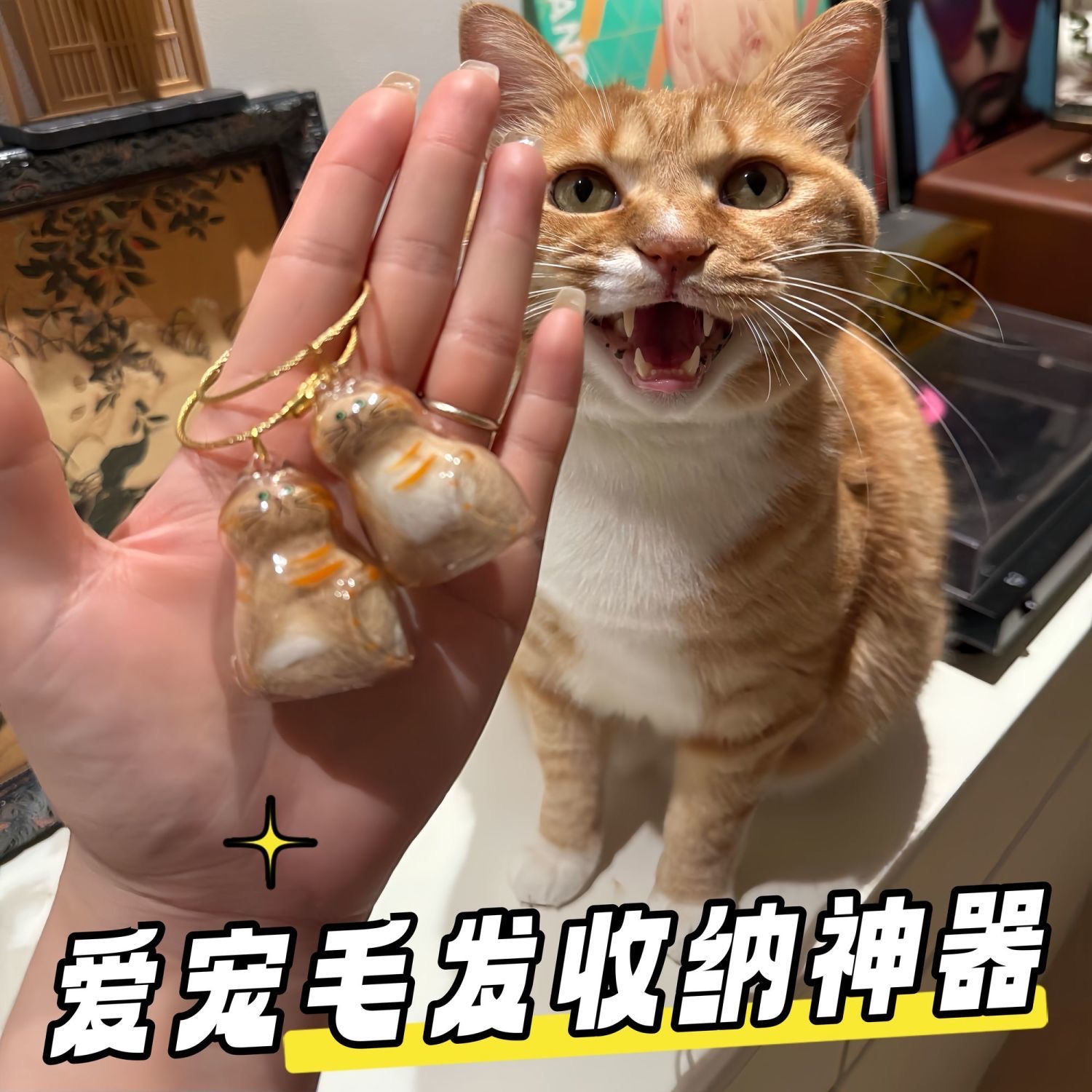 透明猫毛收纳胶囊盒吊饰扭蛋猫咪毛发存放纪念收藏包包钥匙扣挂件