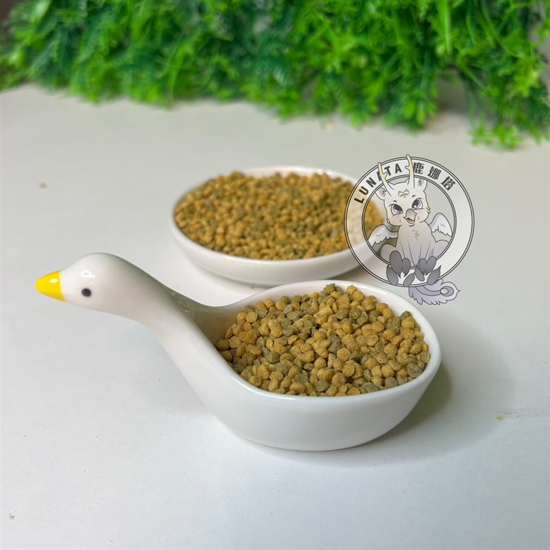 鹦鹉仓鼠兔子粮食碟零食碗大傻鹅碟子