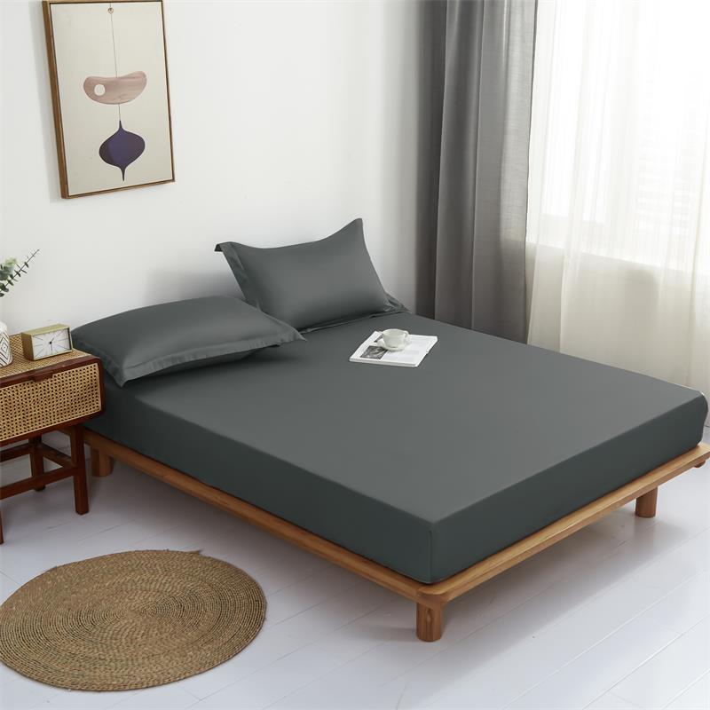 床笠单件单人水洗棉床罩床垫套席梦思防尘保护罩冬季磨毛全包床单