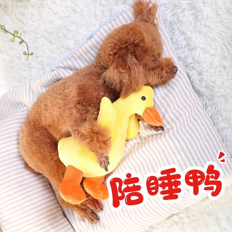 狗狗玩具耐咬磨牙毛绒柯基泰迪比熊博美柴犬幼犬解闷玩具狗狗用品