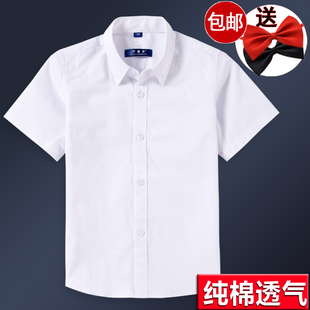 礼服小学生校服 男童女童白衬衣纯棉夏薄款 儿童白衬衫 男孩短袖