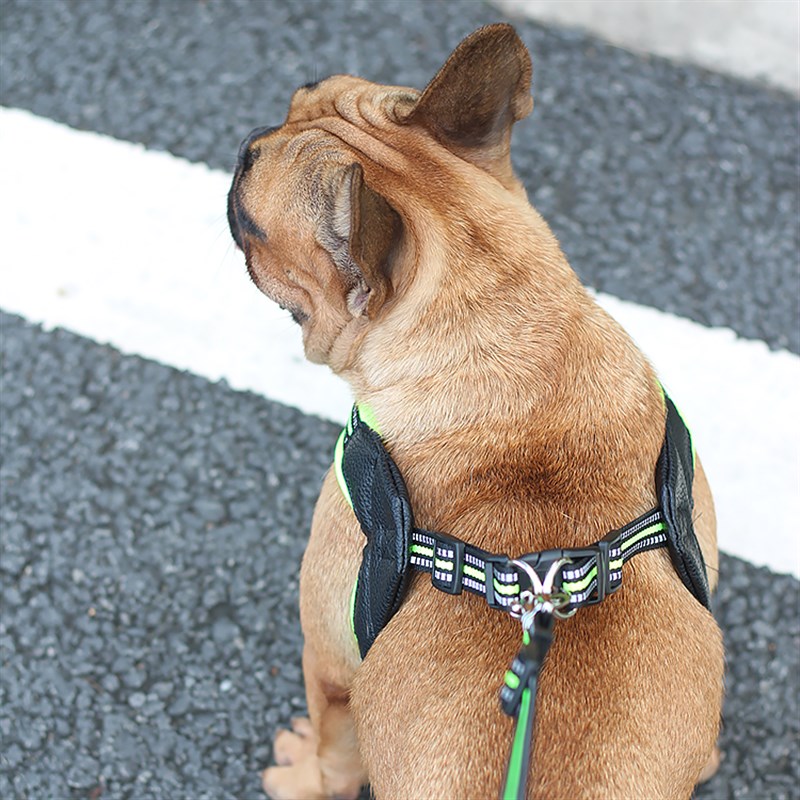中型小型犬背心式牵引绳狗绳泰迪狗链子遛狗绳宠物胸背带狗狗用品