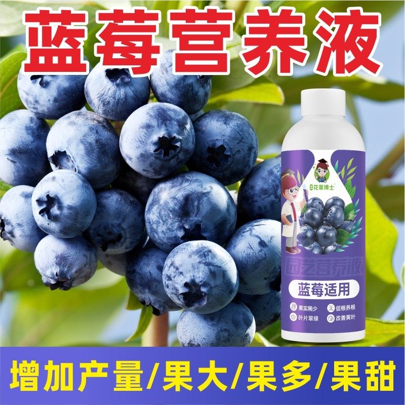 蓝莓专用肥营养液家用树莓草莓盆栽果树专用土坐果增甜通用肥料,鲜花速递/花卉仿真/绿植园艺,家庭园艺肥料,淘宝优惠券,粉丝福利购,淘宝优惠卷