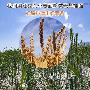 无盐面条红秃头无盐挂面无盐儿童细面条宝宝面和尚头面条古浪拉面