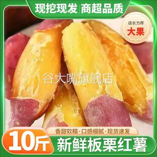 正宗陕西板栗红薯 临潼现挖新鲜沙地黄心蜜薯糖心粉糯地瓜商用9斤