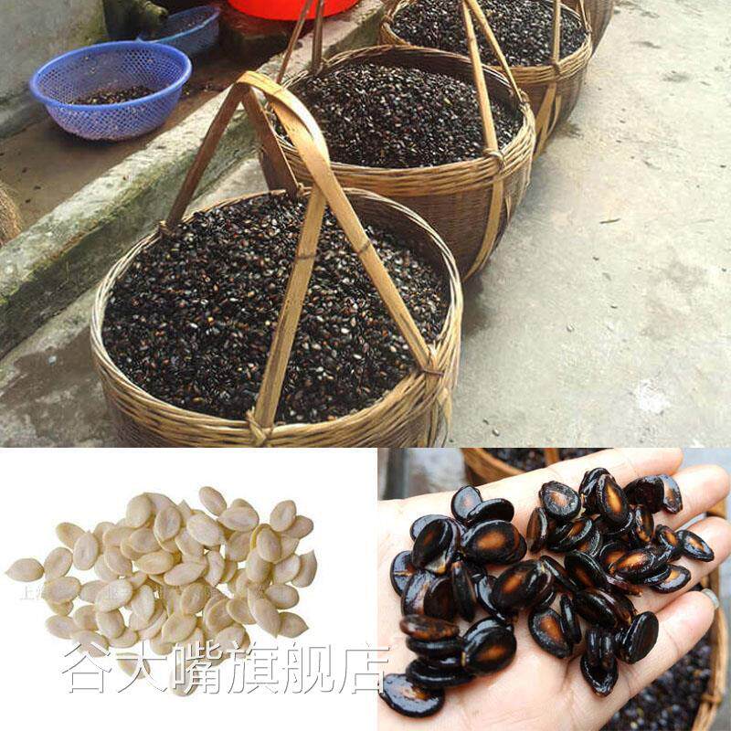 江西安福水煮黑西瓜子大小片五香盐味湿西瓜子不上火的西瓜子零食