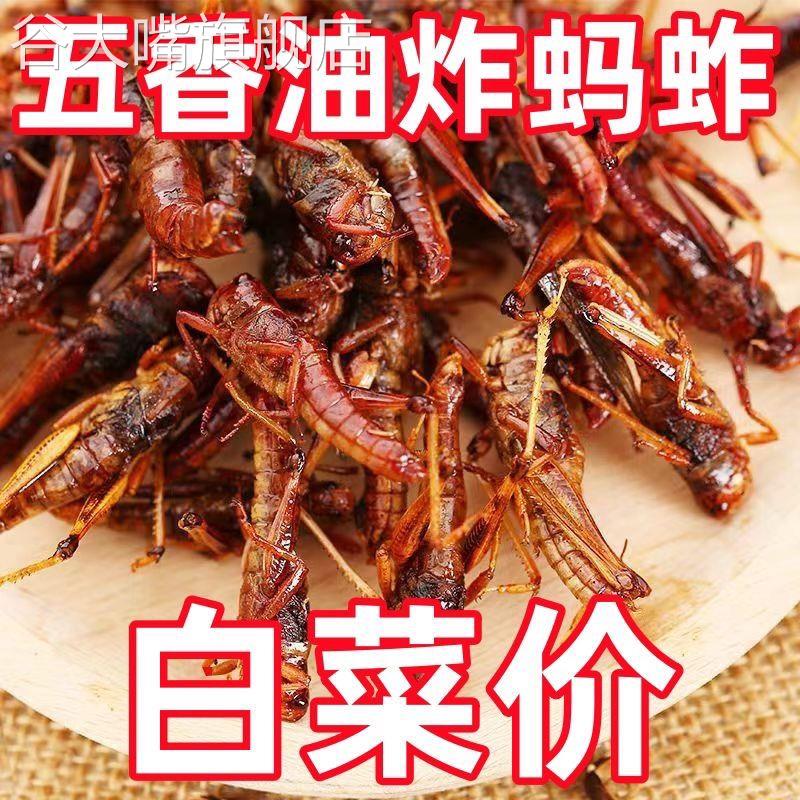 新鲜油炸蚂蚱即食下酒菜零食罐装香辣蝗虫零食用麻辣昆虫美食特产