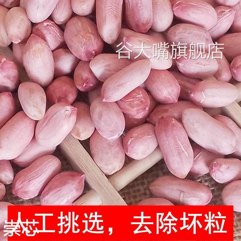 2023年新货生花生米生新鲜晒干山东农家大粒花生仁5斤特级3不带壳