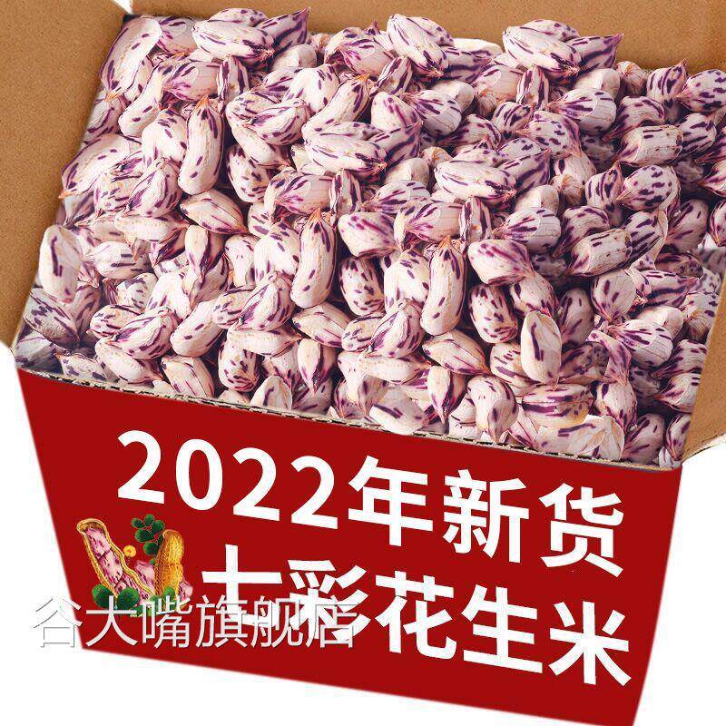 云南七彩花生新货带壳生熟七彩野地花生米黑花生种子特级普洱特产