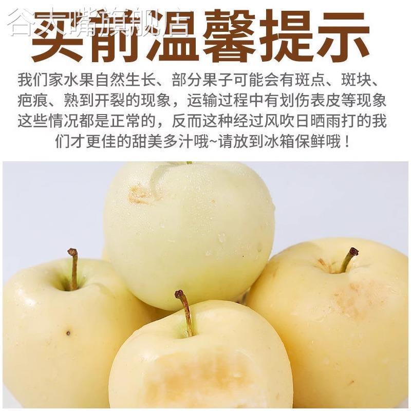 山东烟台黄金奶油富士苹果正宗栖霞水果新鲜当季现摘整箱