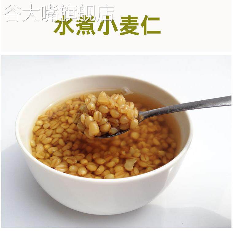 小麦粒带皮 小麦仁带麸皮发芽食用小麦草种子 猫草磨面鸟食鱼饵