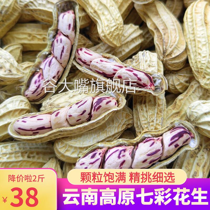 七彩花生米云南特产带壳晒干 干2023新货花生种粒熟原味野地五彩