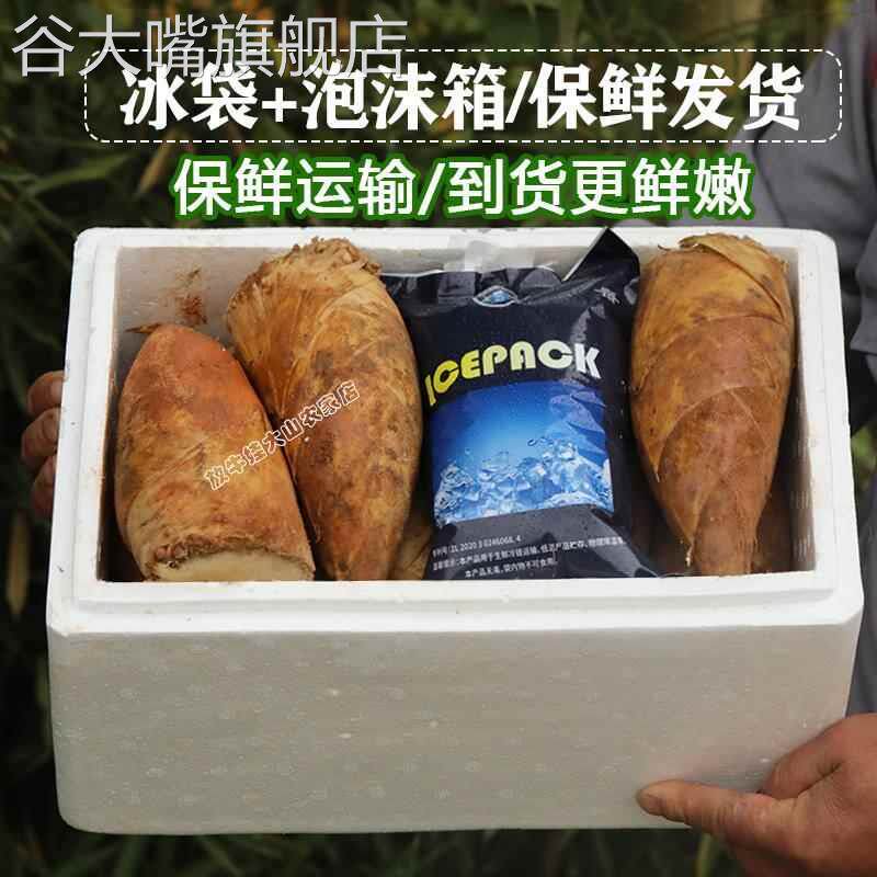 去老根 | 福建黄泥冬笋新鲜现挖毛竹笋正宗农家鲜冬笋10/5斤