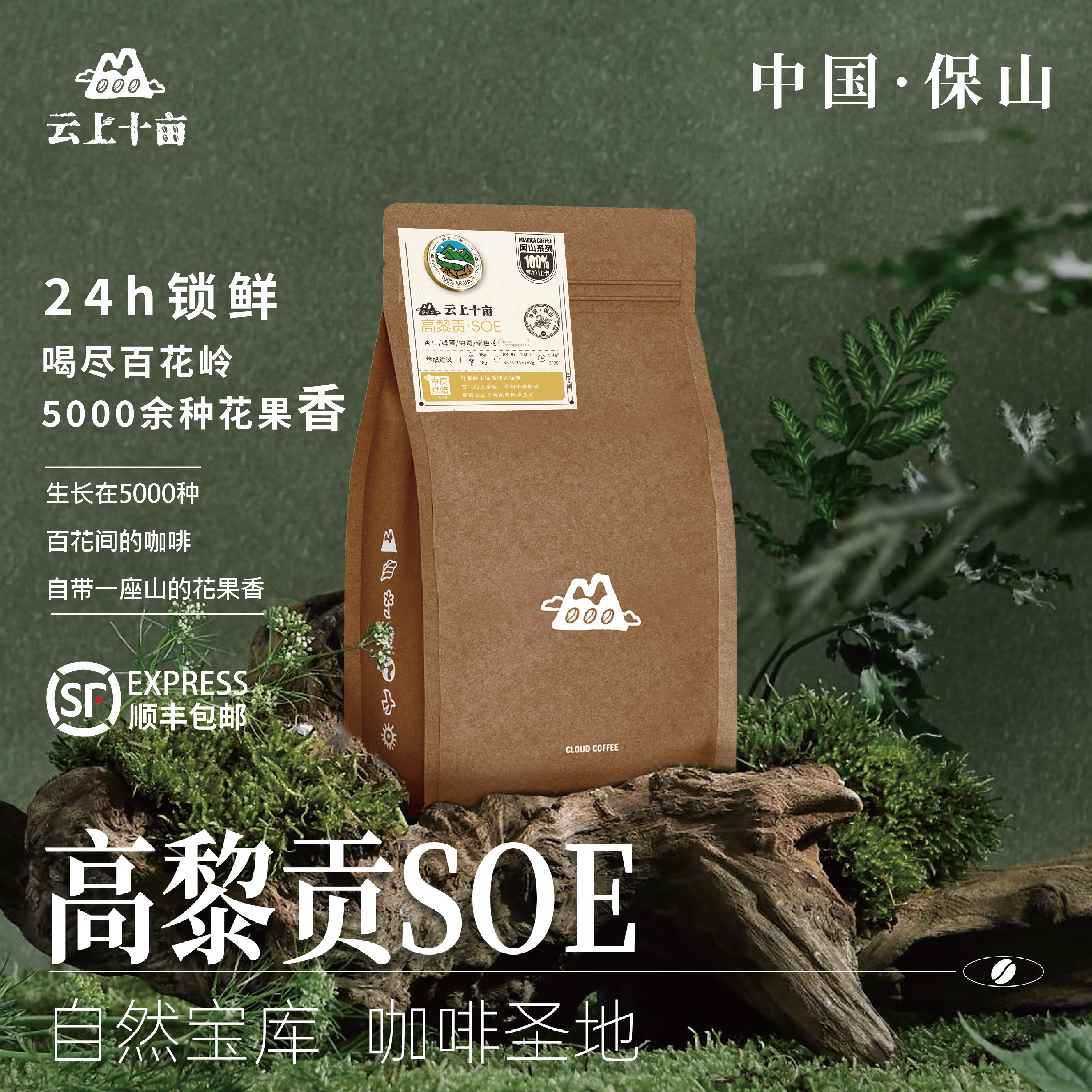 云上十亩 云南高黎贡SOE精品手冲意式咖啡豆新鲜烘焙可现磨粉227g
