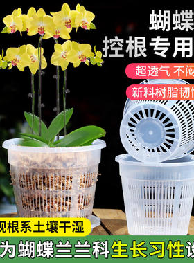 蝴蝶兰花盆蝴蝶兰专用花盆透气套盆控根盆营养钵育苗杯养兰花花盆