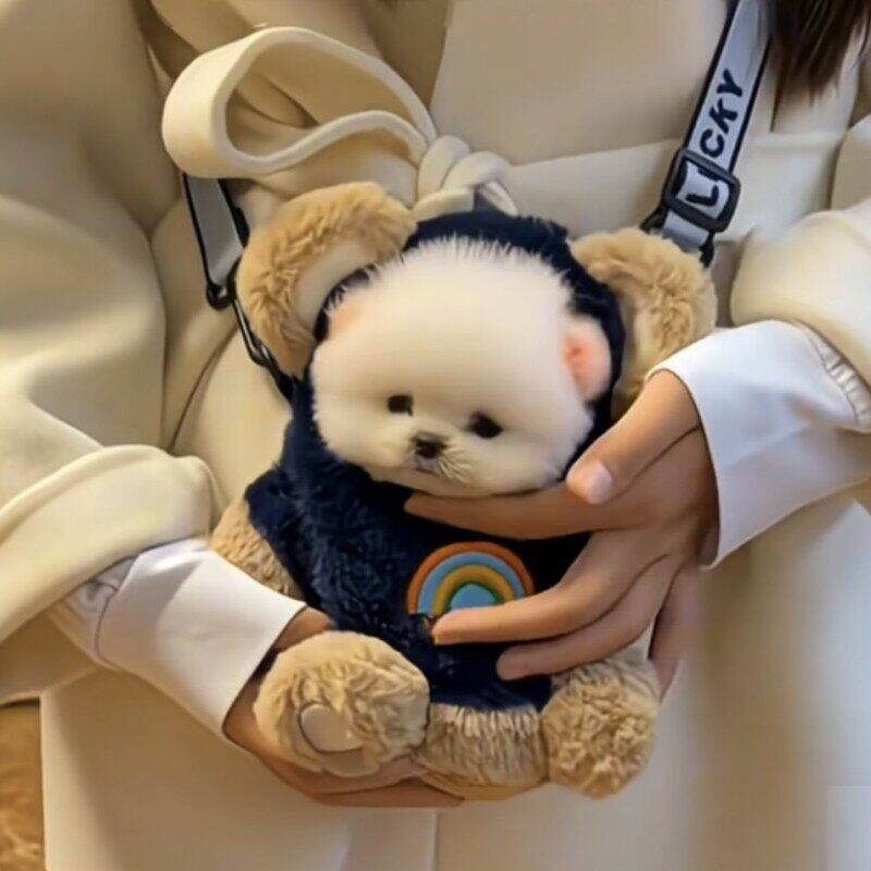 背包宠物外出包茶杯犬外狗狗便携