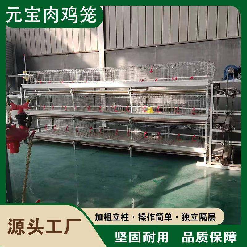 元宝肉鸡笼全自动化半自动立体鸡舍镀锌养殖养鸡可供国内外,畜牧/养殖物资,特种养殖设备,淘宝优惠券,粉丝福利购,淘宝优惠卷