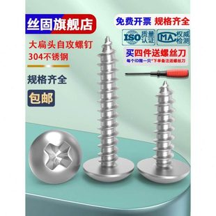 304不锈钢大扁头自攻螺丝钉十字伞头螺钉M3螺丝M4M4.2M5M6.3