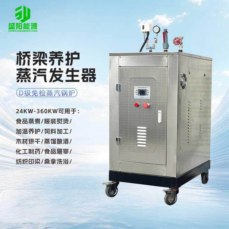 生物质蒸汽热源机D级免检蒸汽锅炉烫皮机配套设备小型蒸汽机