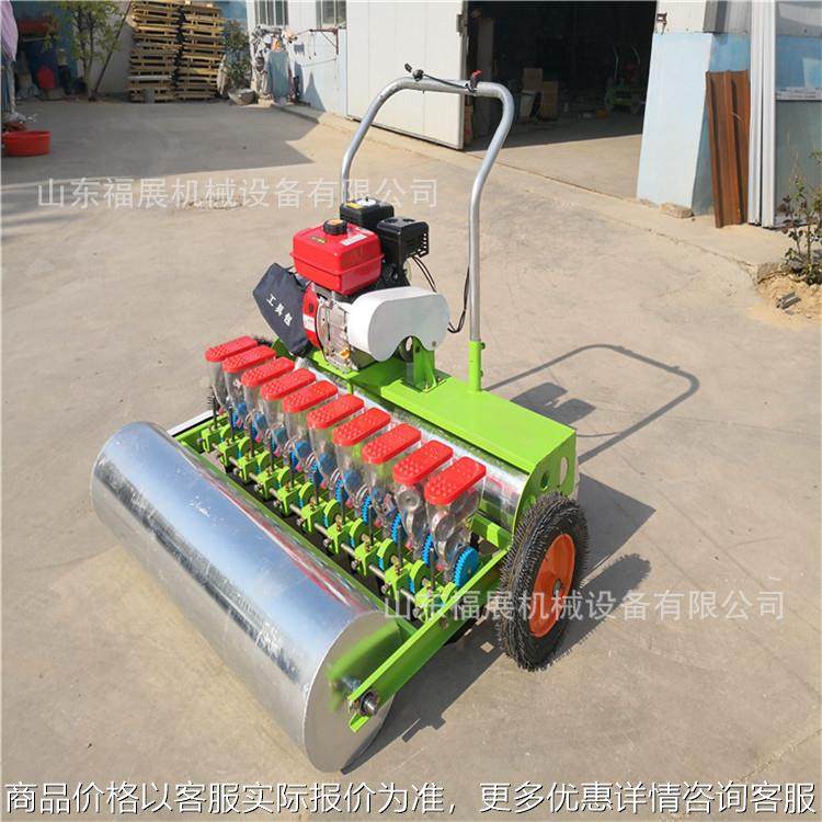 10行萝卜蔬菜播种机视频 芹菜油菜播种机 小香芹油菜播种机,农机/农具/农膜,播种栽苗器/地膜机,淘宝优惠券,粉丝福利购,淘宝优惠卷