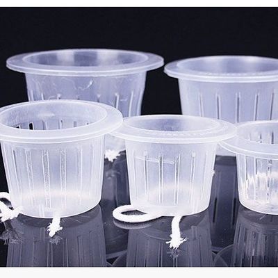 荔枝水培器皿植物固根器玻璃瓶定植篮土培器皿定植蓝花盆定植篮绿