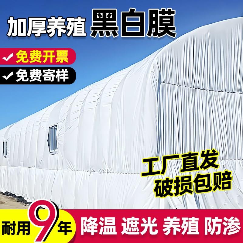 黑白膜养殖防晒加厚大棚r专用膜隔热降温防渗膜种植家禽养殖防航
