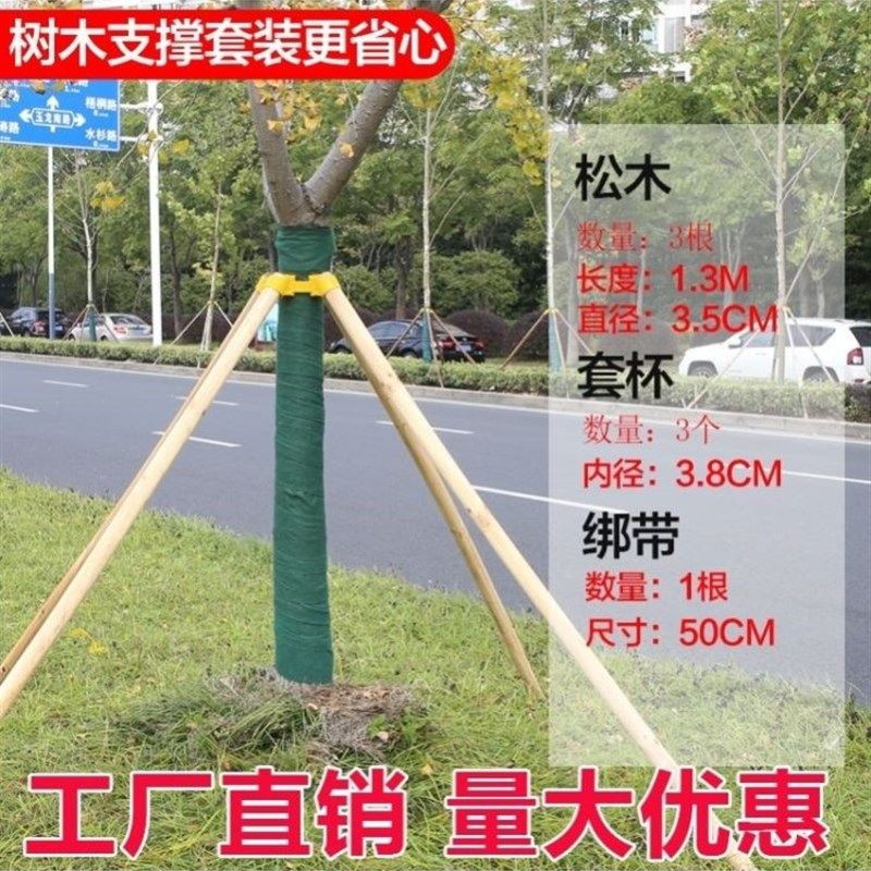 松木树木支撑架固定器园林防风大树支撑杆苗木支架树撑绿化树苗架