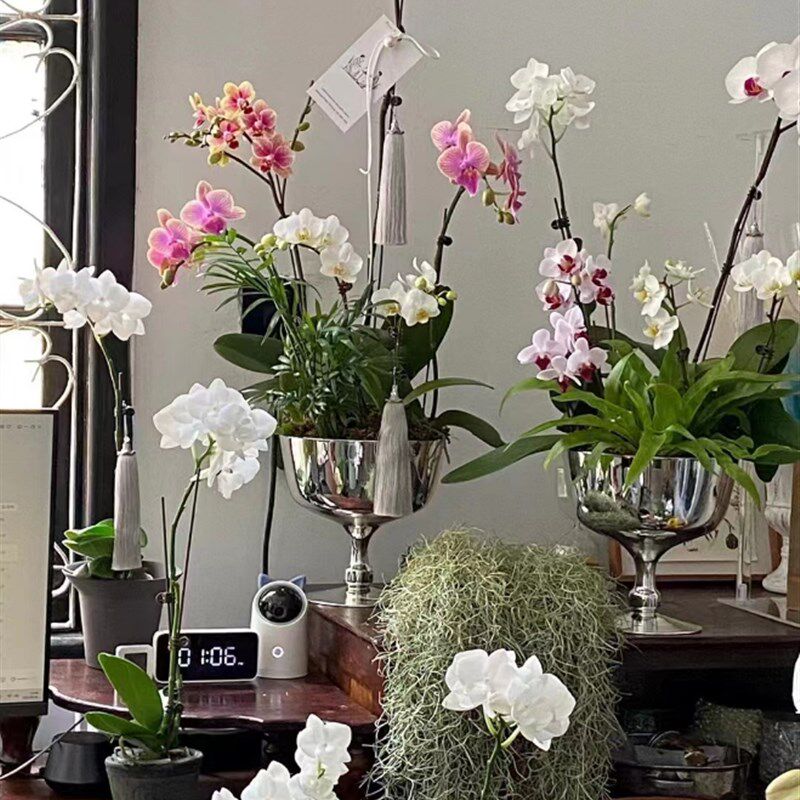 欧式高脚银色玻璃花瓶摆件 镜面电G镀银花器客厅餐桌摆件装饰品