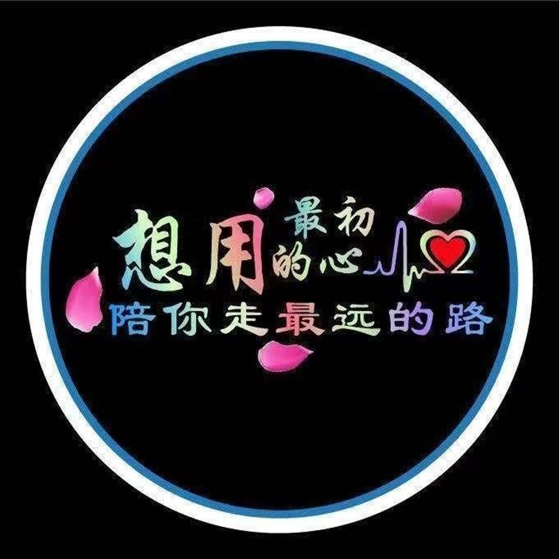 汽车迎宾灯车门投影灯开门感应照地埋灯车内装饰用品车载气氛灯无