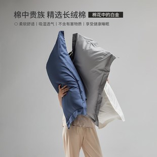 枕头套春秋长绒棉轻奢单人枕套2只一对装 2024四季 全棉枕头芯